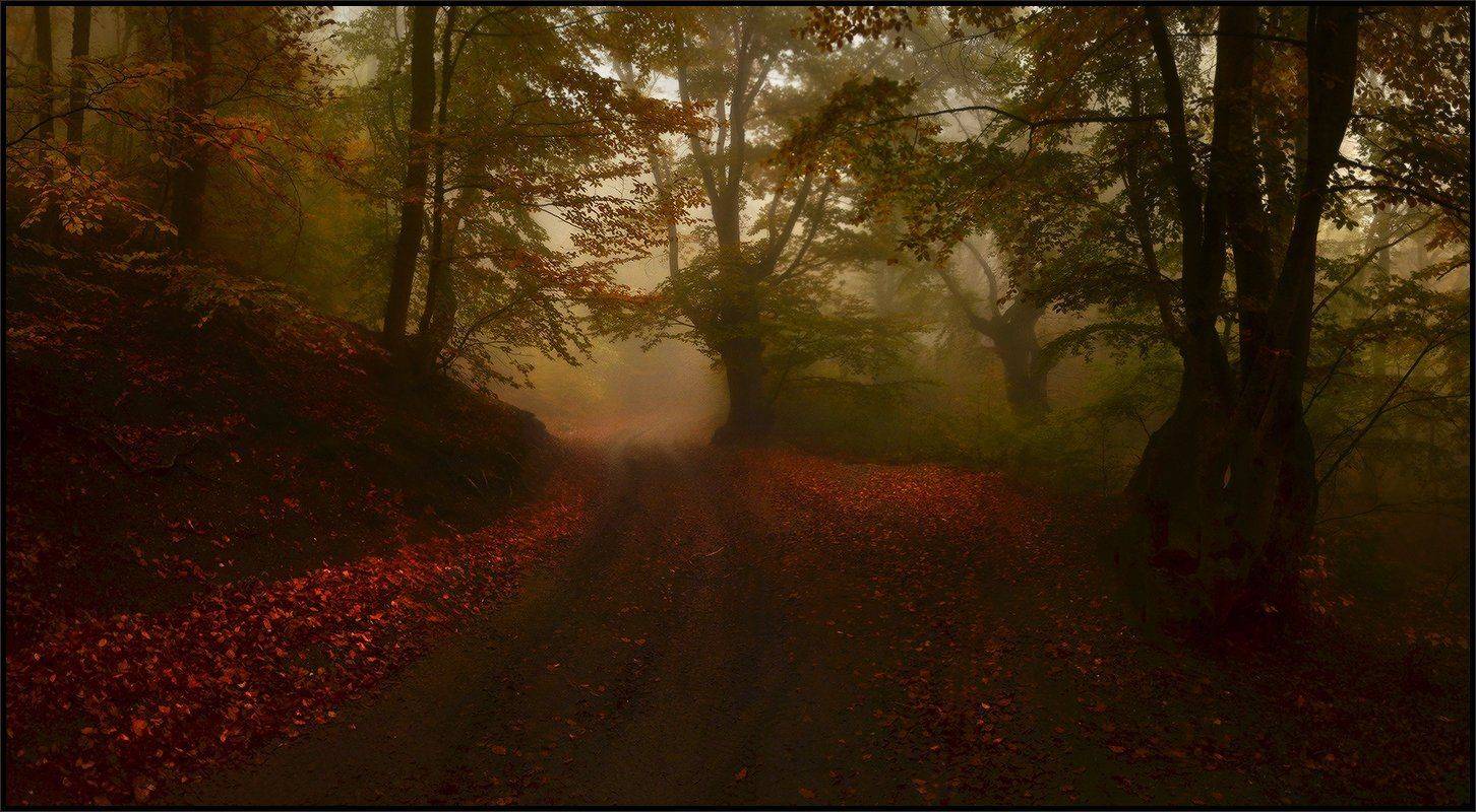 , Владимир Метцгер