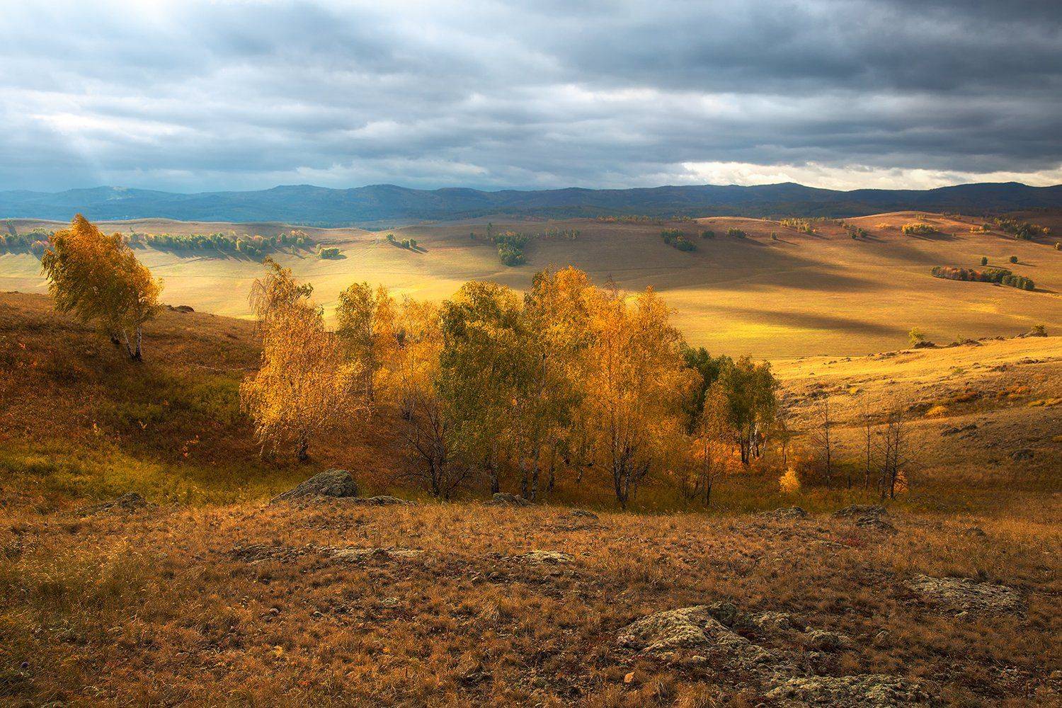 , Александр Сысуев
