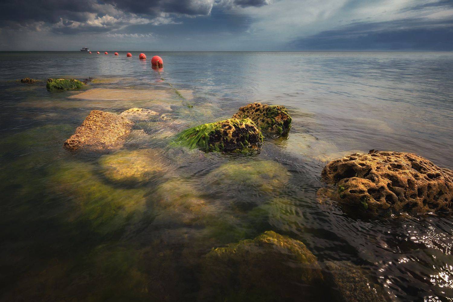 , Алексей Никонов