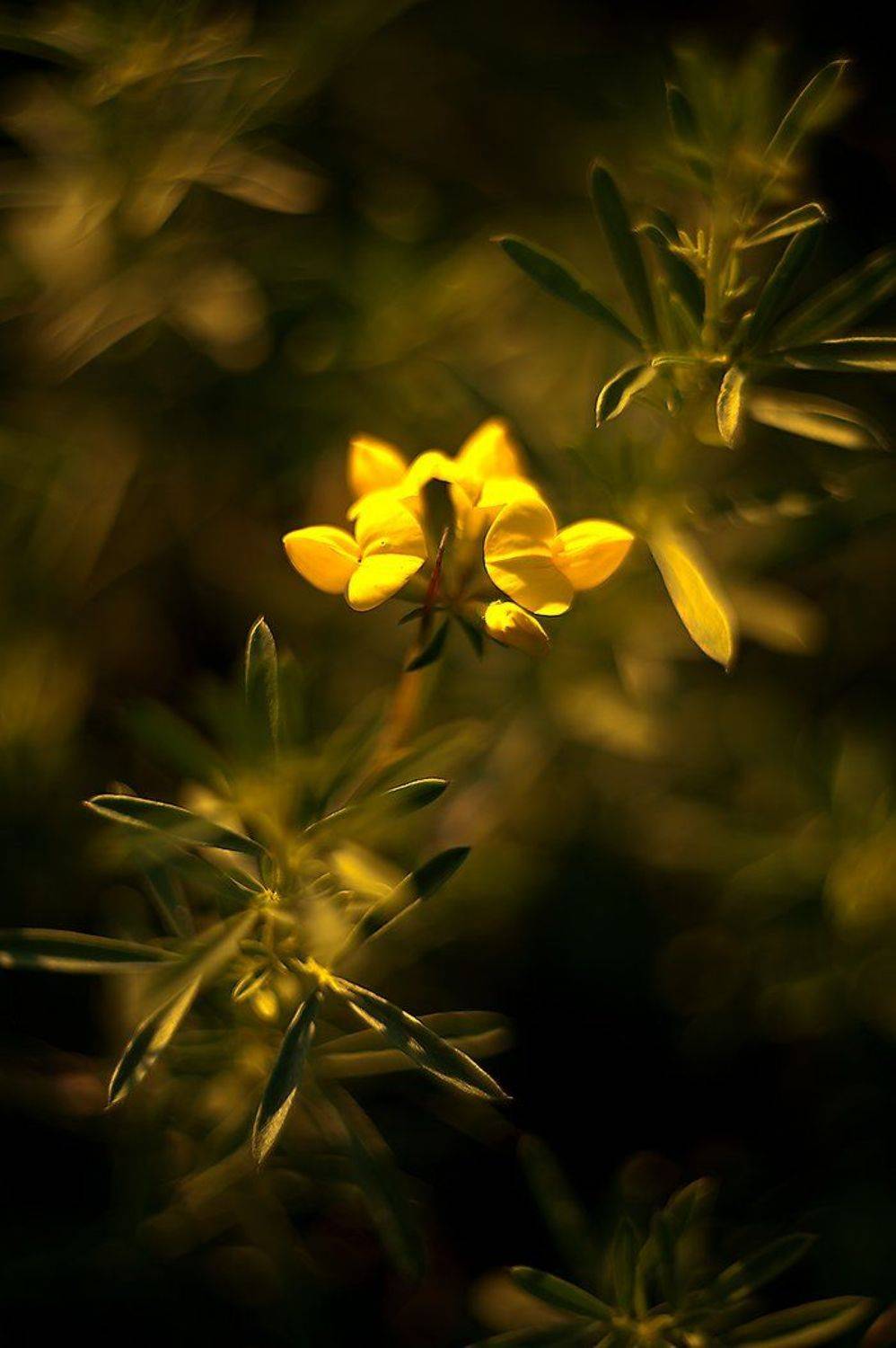 ***, Валерий Смирнов