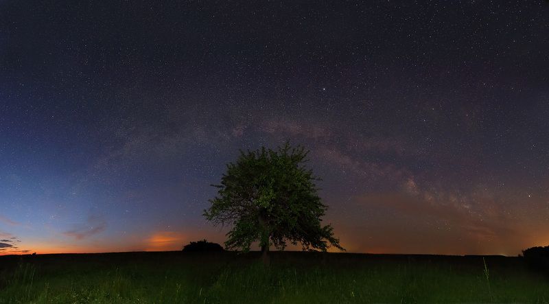Covered with the Milky Way фото превью