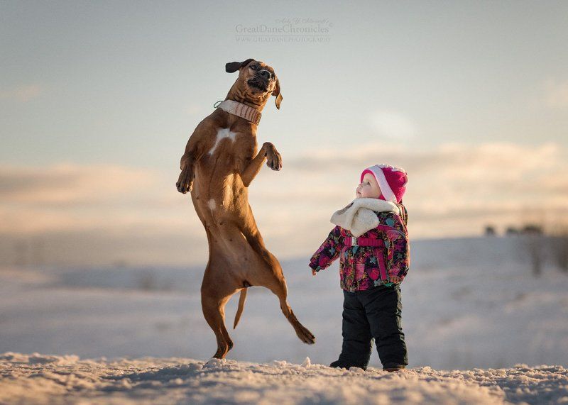 Dancing in the Snow фото превью