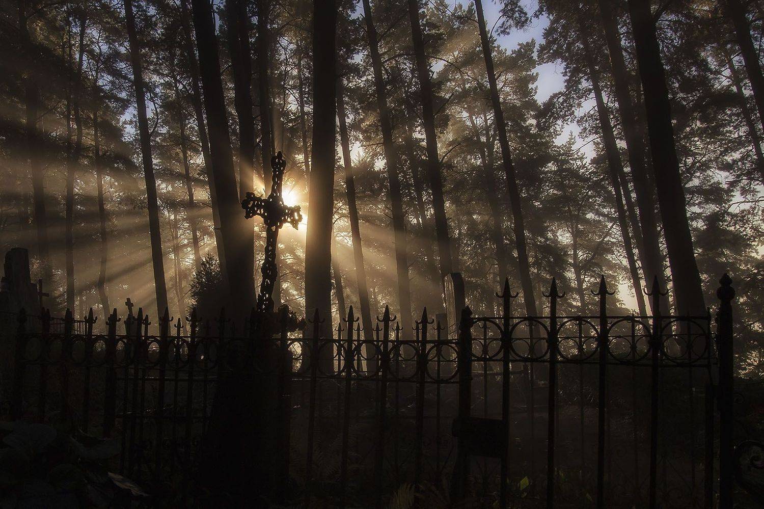 , Rimantas Bikulcius