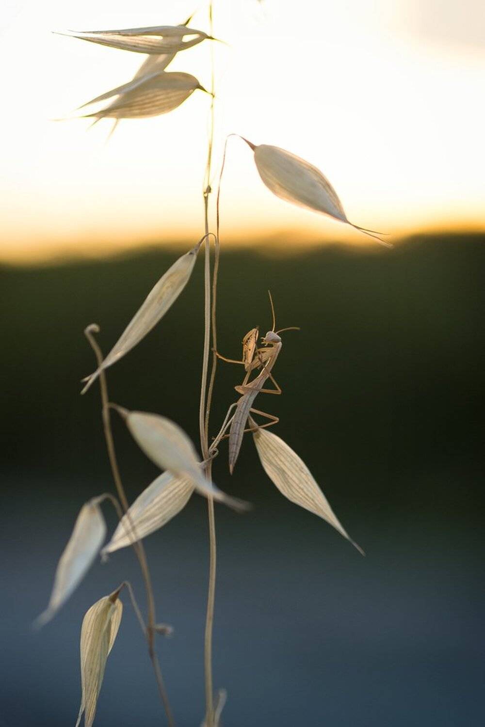 , Кузнецов Дмитрий