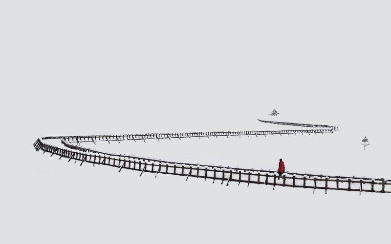 --- фото превью