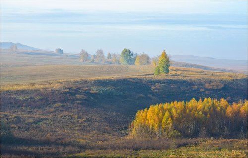 Туманное утро