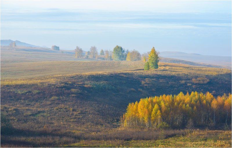 Туманное утро фото превью
