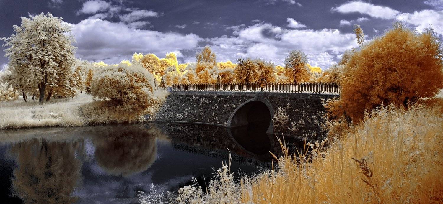 infrared,ик-фото,инфракрасное фото,инфракрасная фотография,пейзаж,природа,беларусь,лето, Sixten ( Сергей )