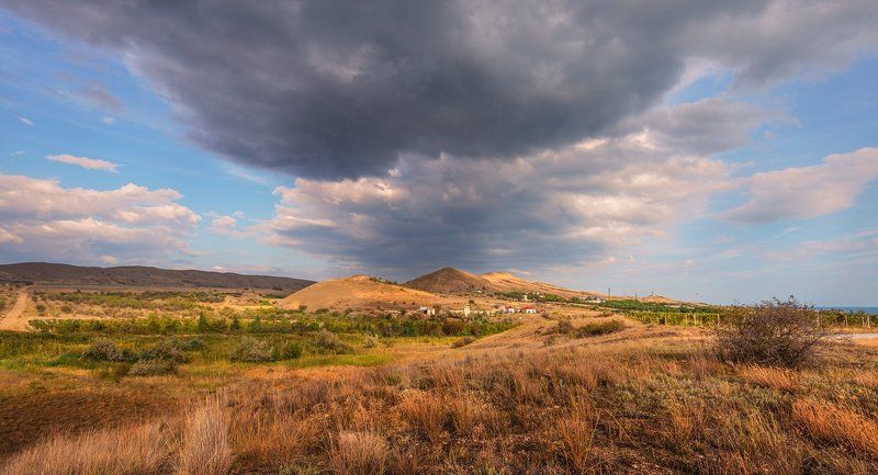 Клоки косматых трав, как пряди рыжей шкуры фото превью