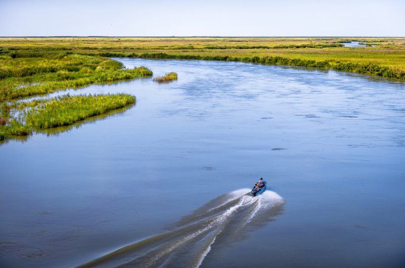 Осень в дельте реки Или фото превью