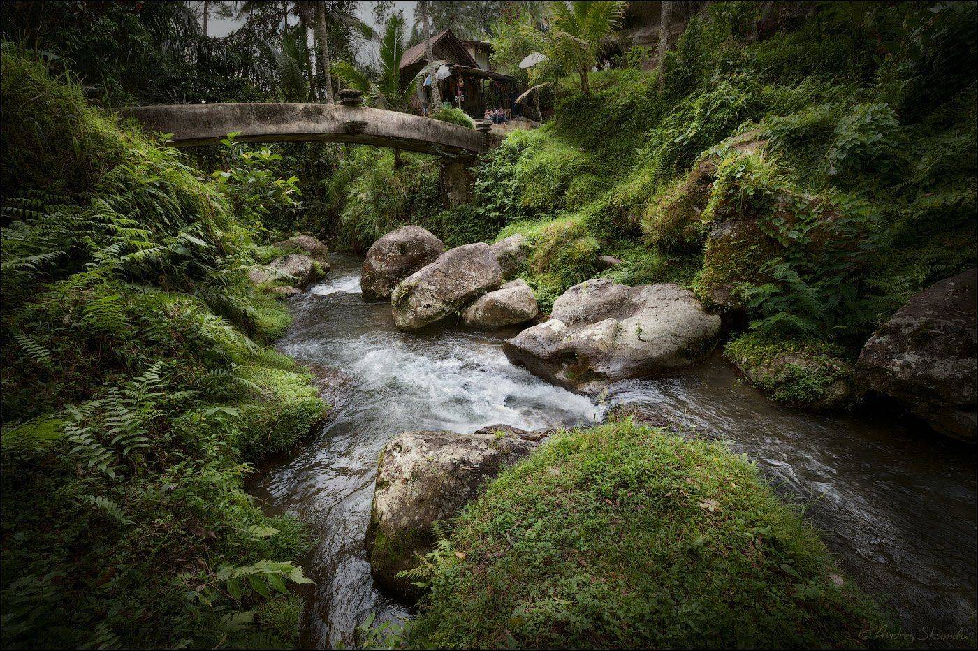 , Андрей Шумилин