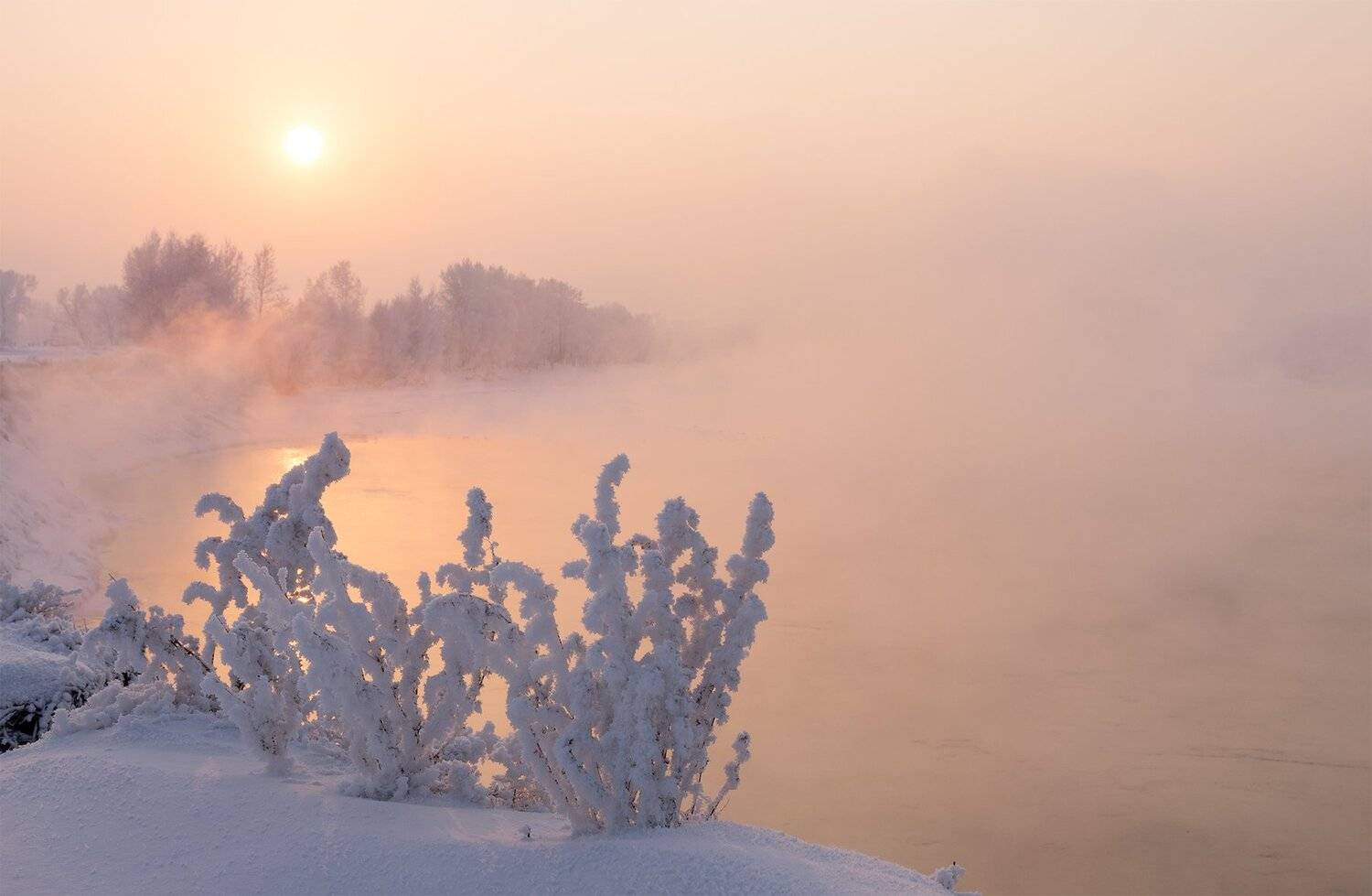 , Лещёнок Александр