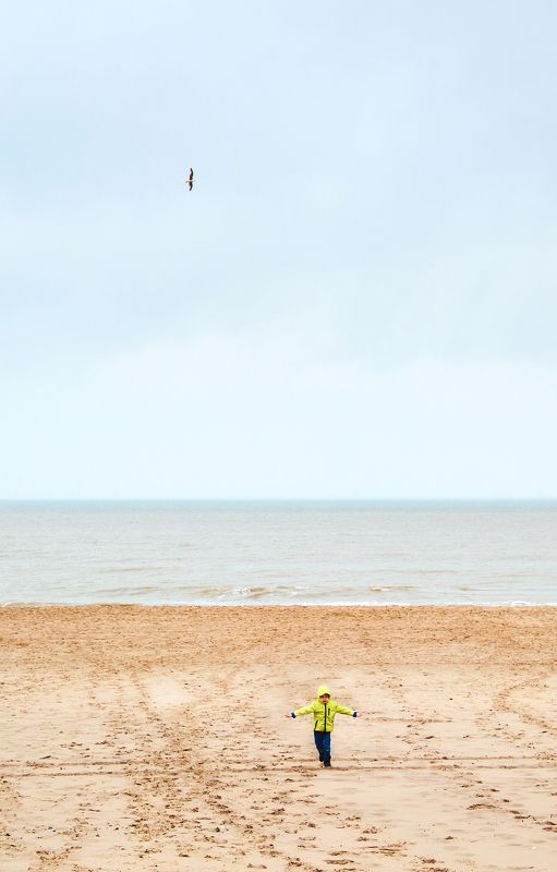 bird,sea,shore,sand,sky,child,runs,flies,dreams,childhood,sadness,time,transience,life like a bird .. фото превью