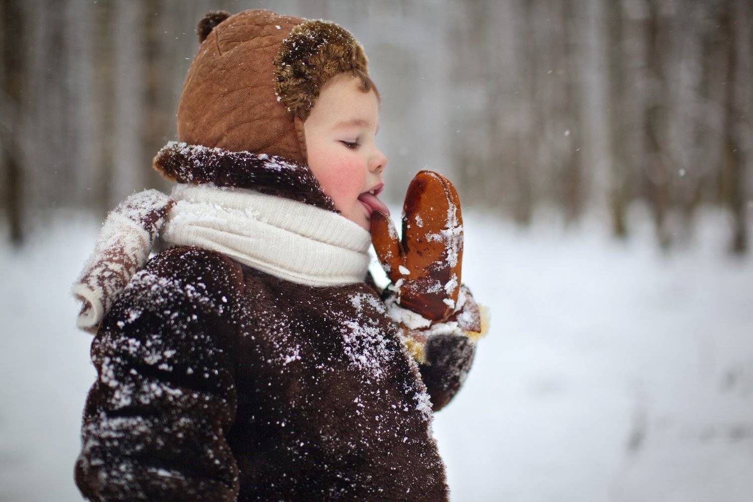 , Коровина Елена
