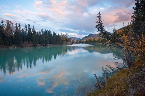 Pro бирюзовый Аргут