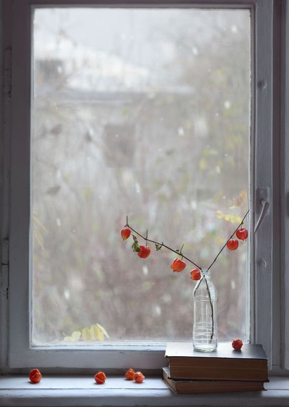 Декабрь фото превью