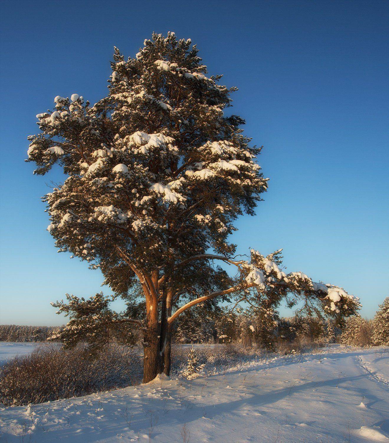 , Поташев Александр