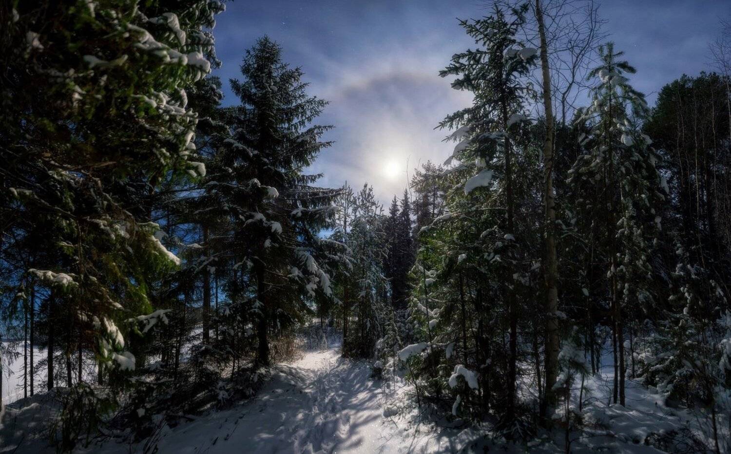 , Устюжанин Михаил