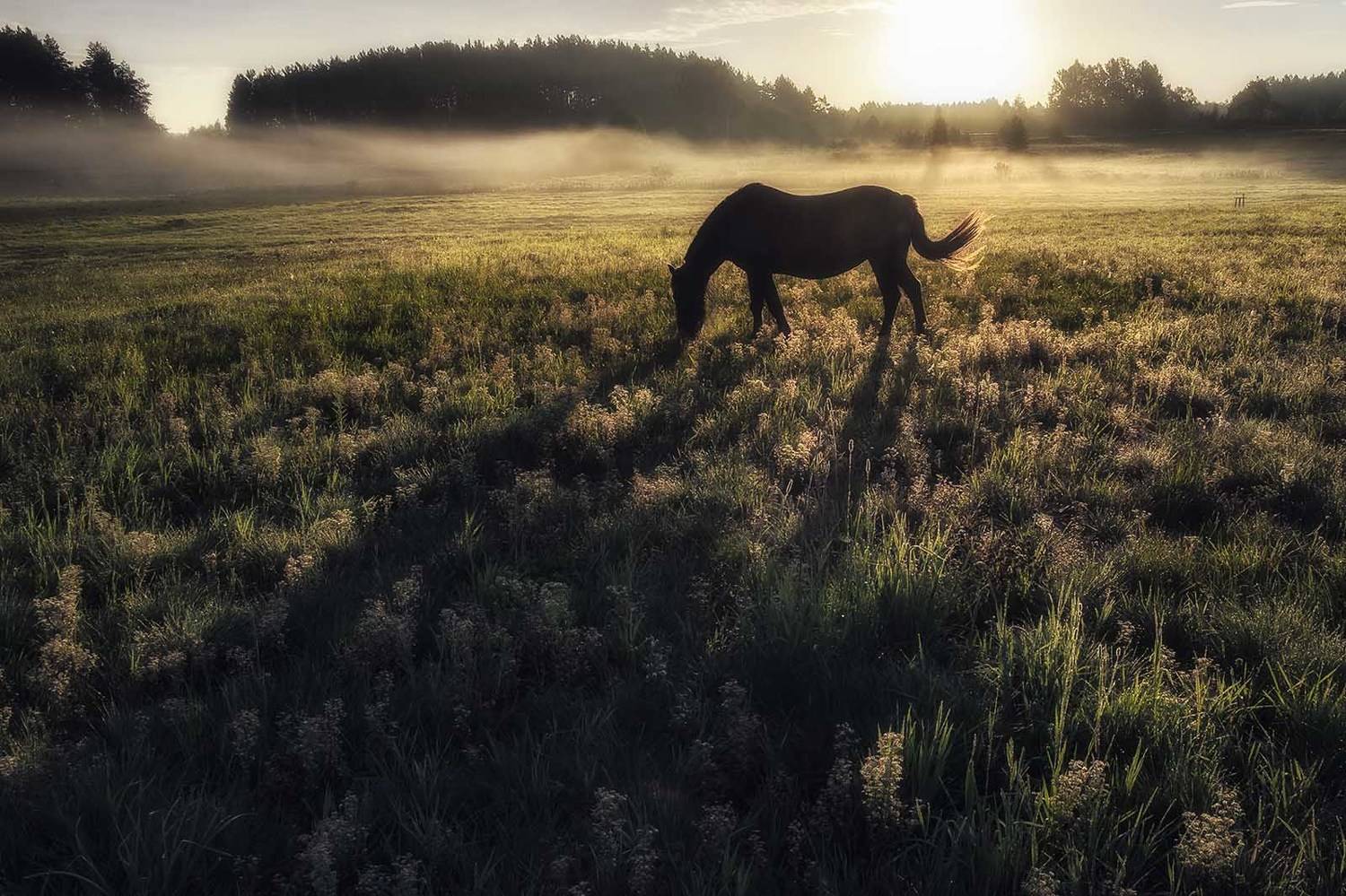 , Rimantas Bikulcius