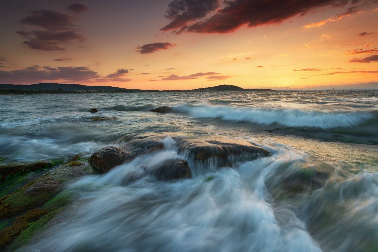 sun, Иван Димов