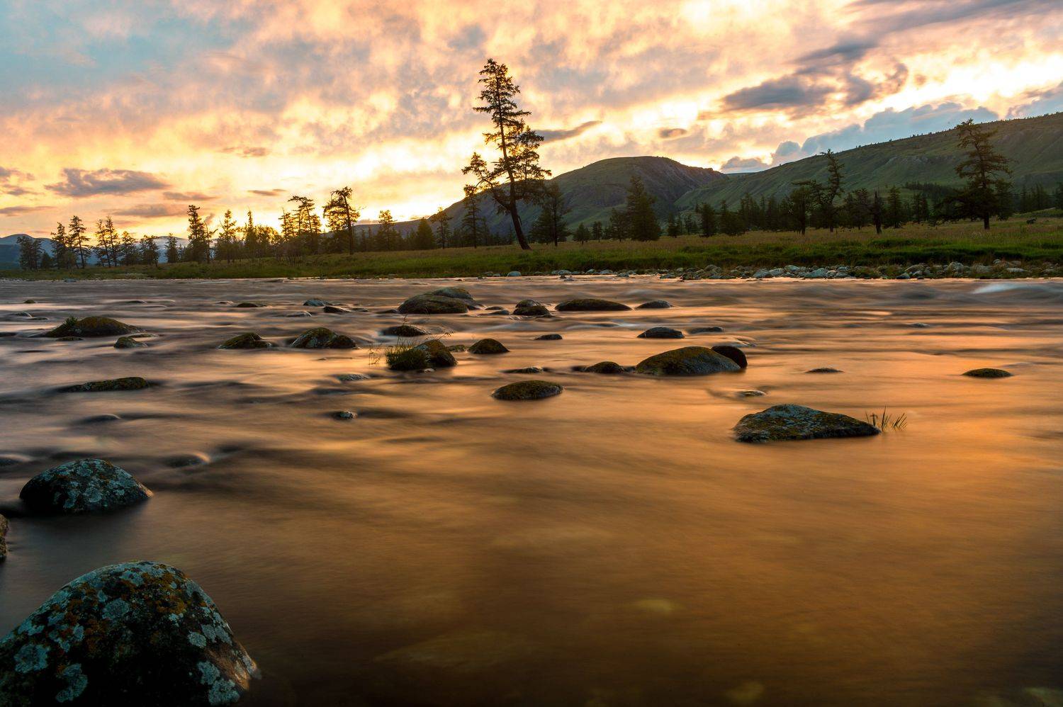 , Михаил Дронов