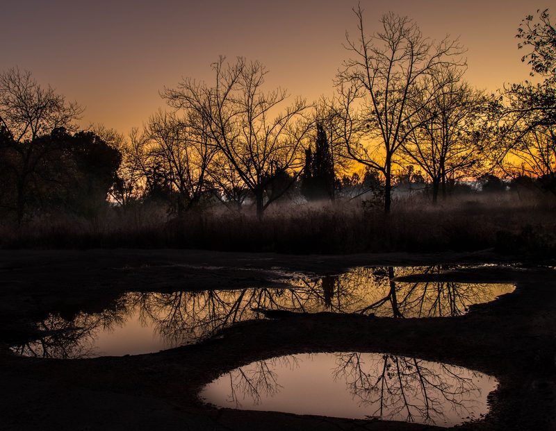 пейзаж, природа,утро,дождь Утро после дождя фото превью