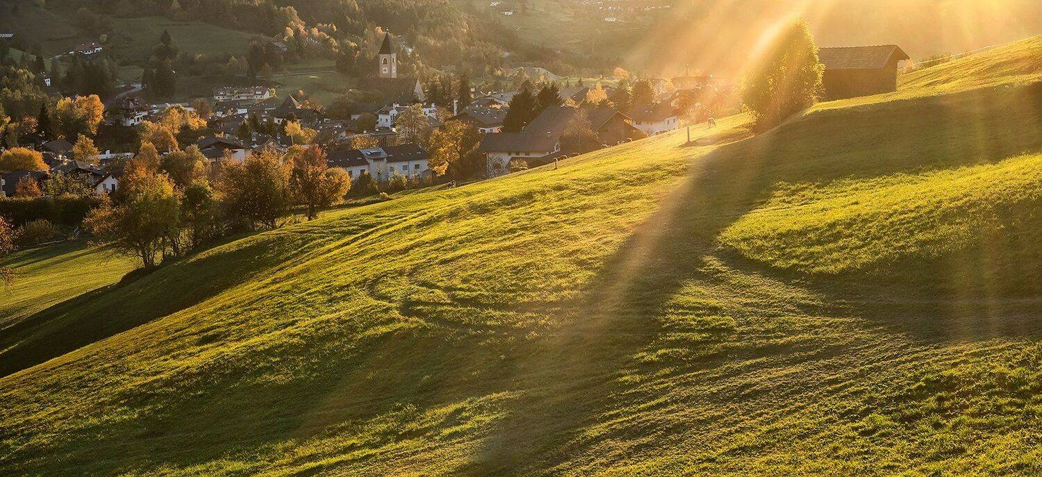 , Игорь Дубровский