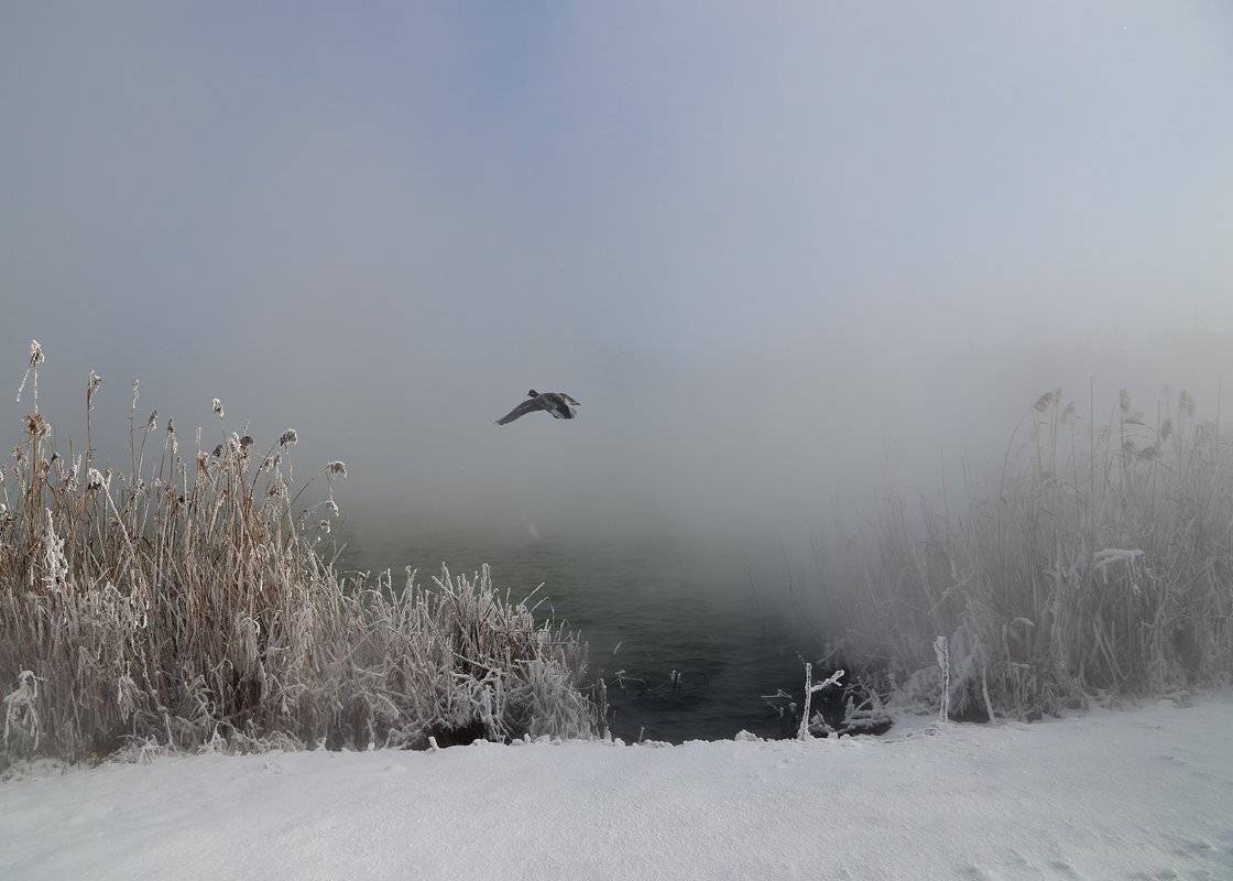 , Алексей Рыльский