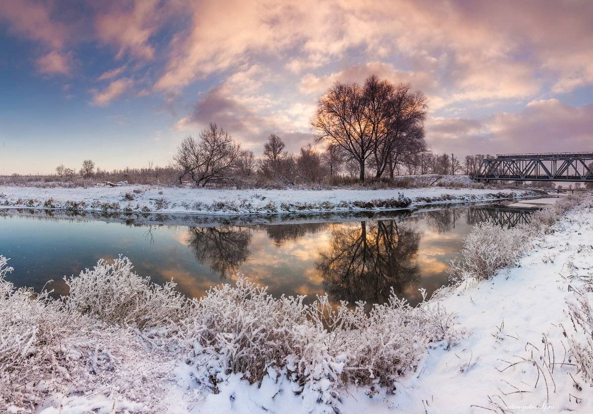зима, рассвет, снег, лес, Антон Петрусь