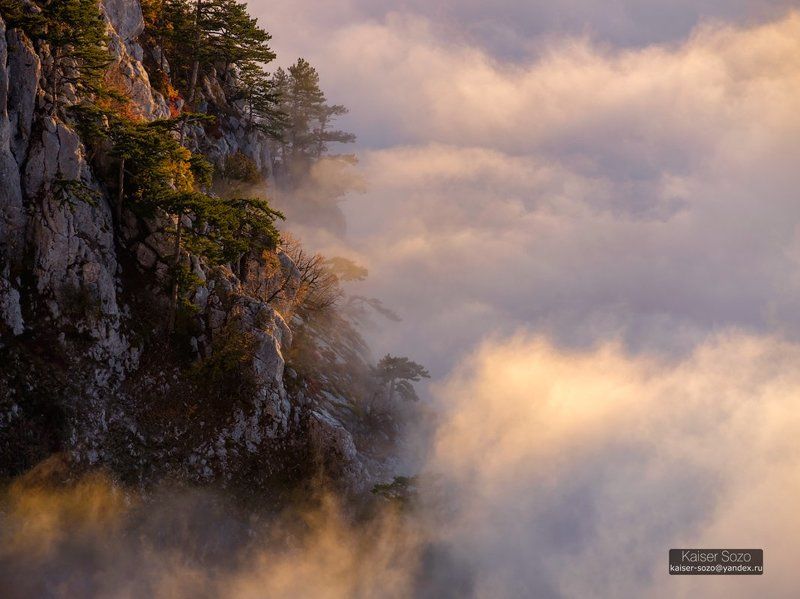 ай-петри, рассвет, туман, облака, сосны, скалы Остров в море тумана фото превью