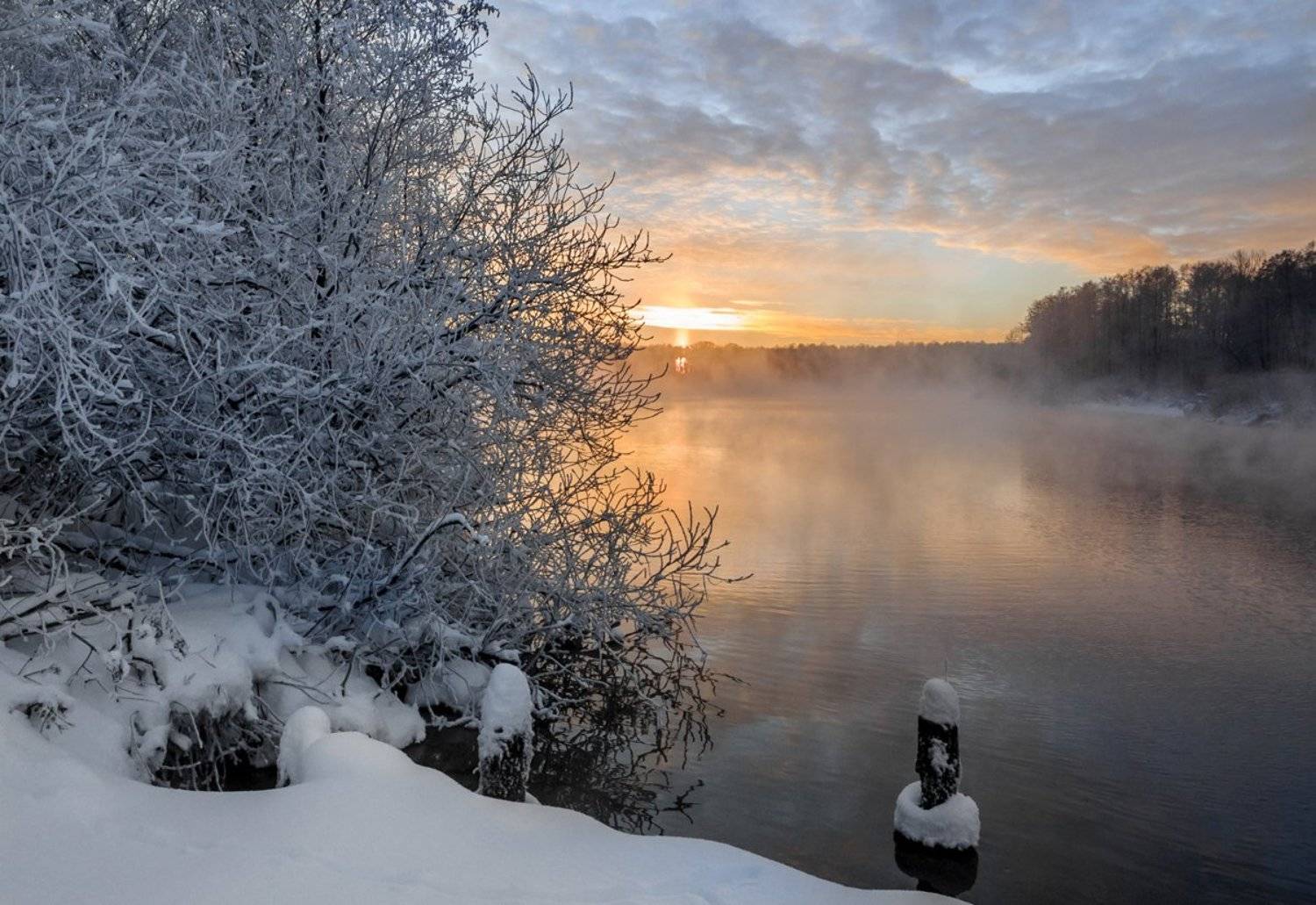 , Анатолий Зверев