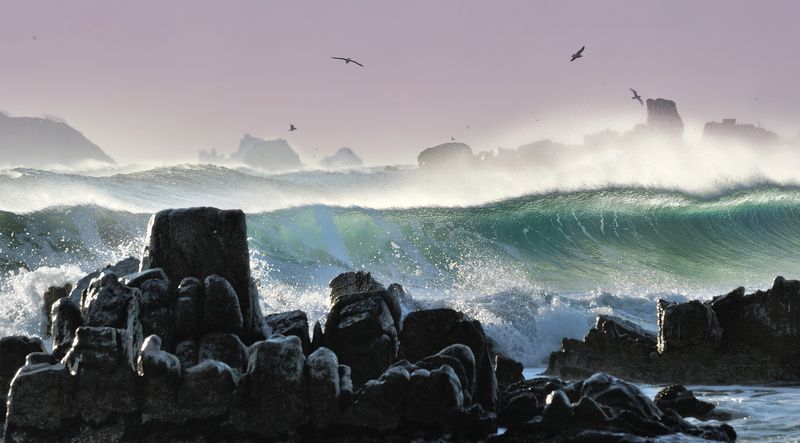 Winter sea фото превью