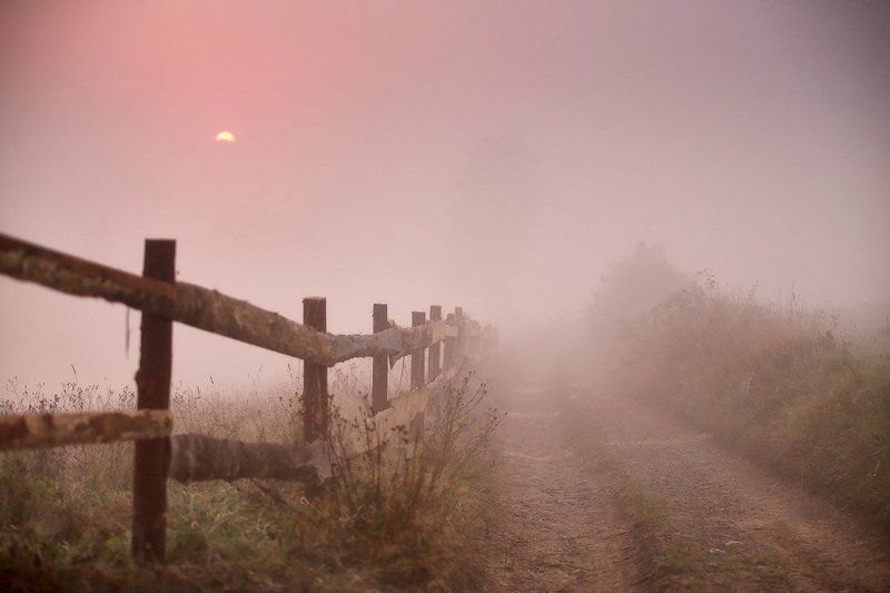 Карпаты, Горы, Осень, Сентябрь, Утро, Рассвет, Туман Сентябрьская рассветная фото превью