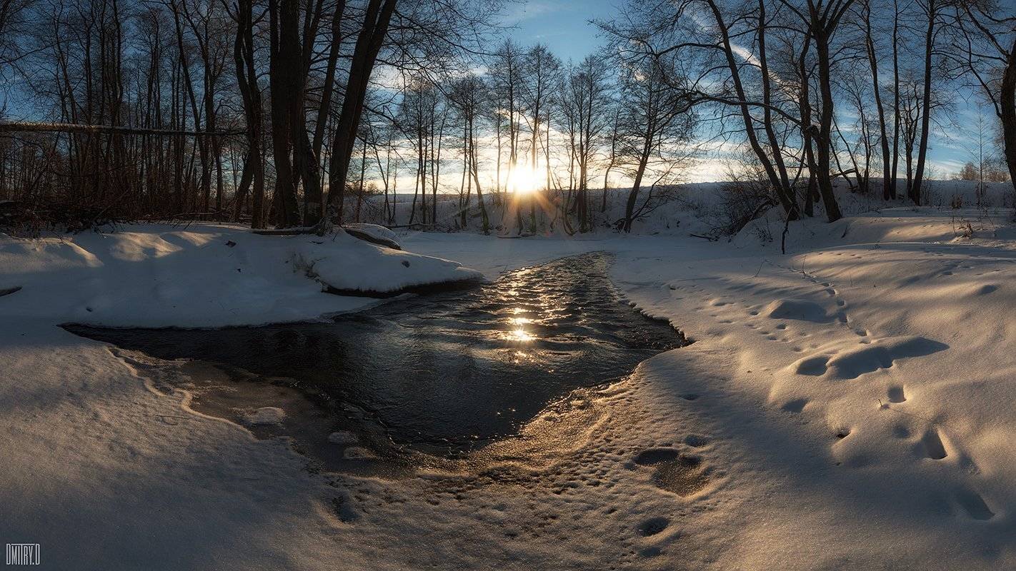 , Дмитрий Доронин