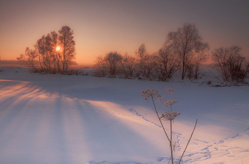 Встречая утро декабря фото превью