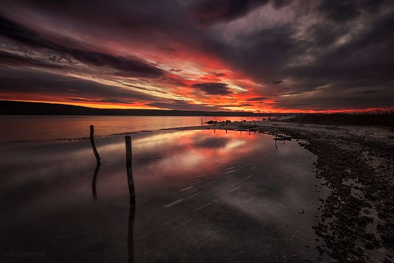 Огонь фото превью