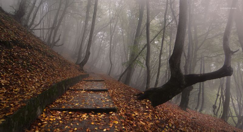 Туманы Кавказа 2 фото превью