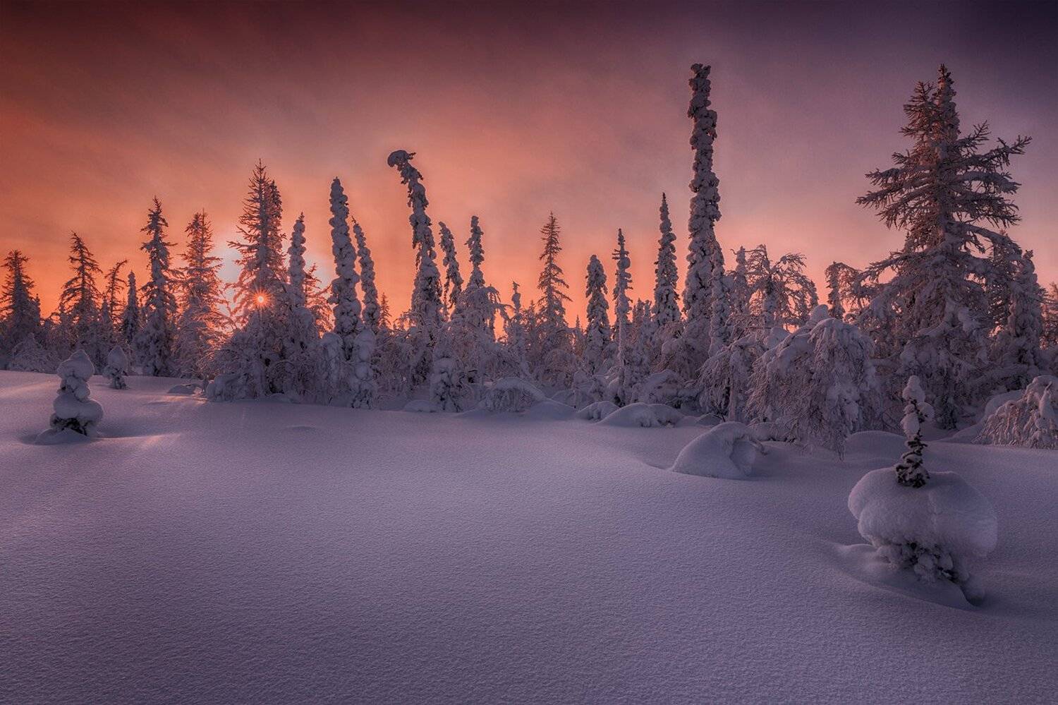 , Евгений Кужилев