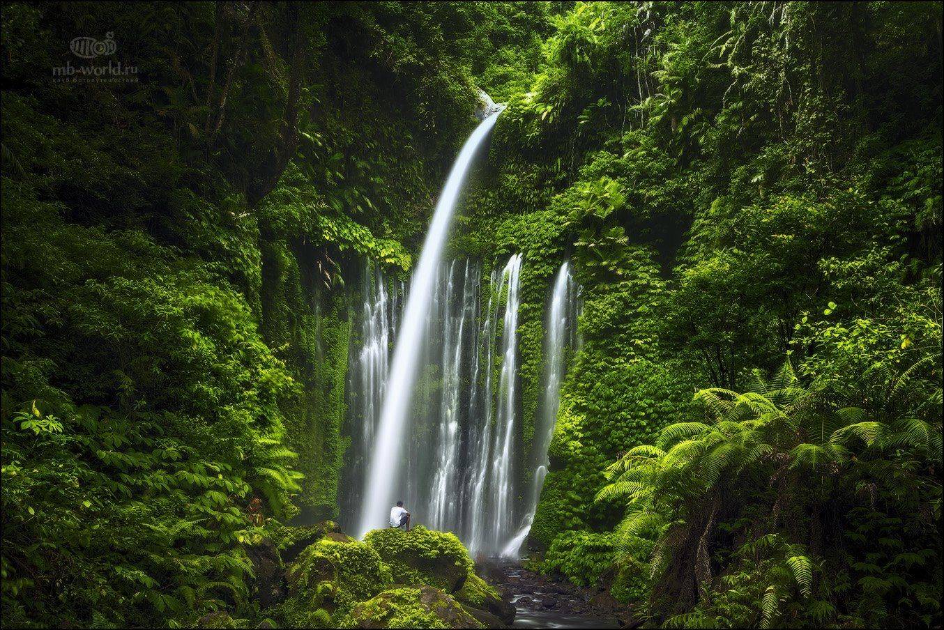 Индонезия, Ломбок, водопад, джунгли, природа, остров, Михаил Воробьев