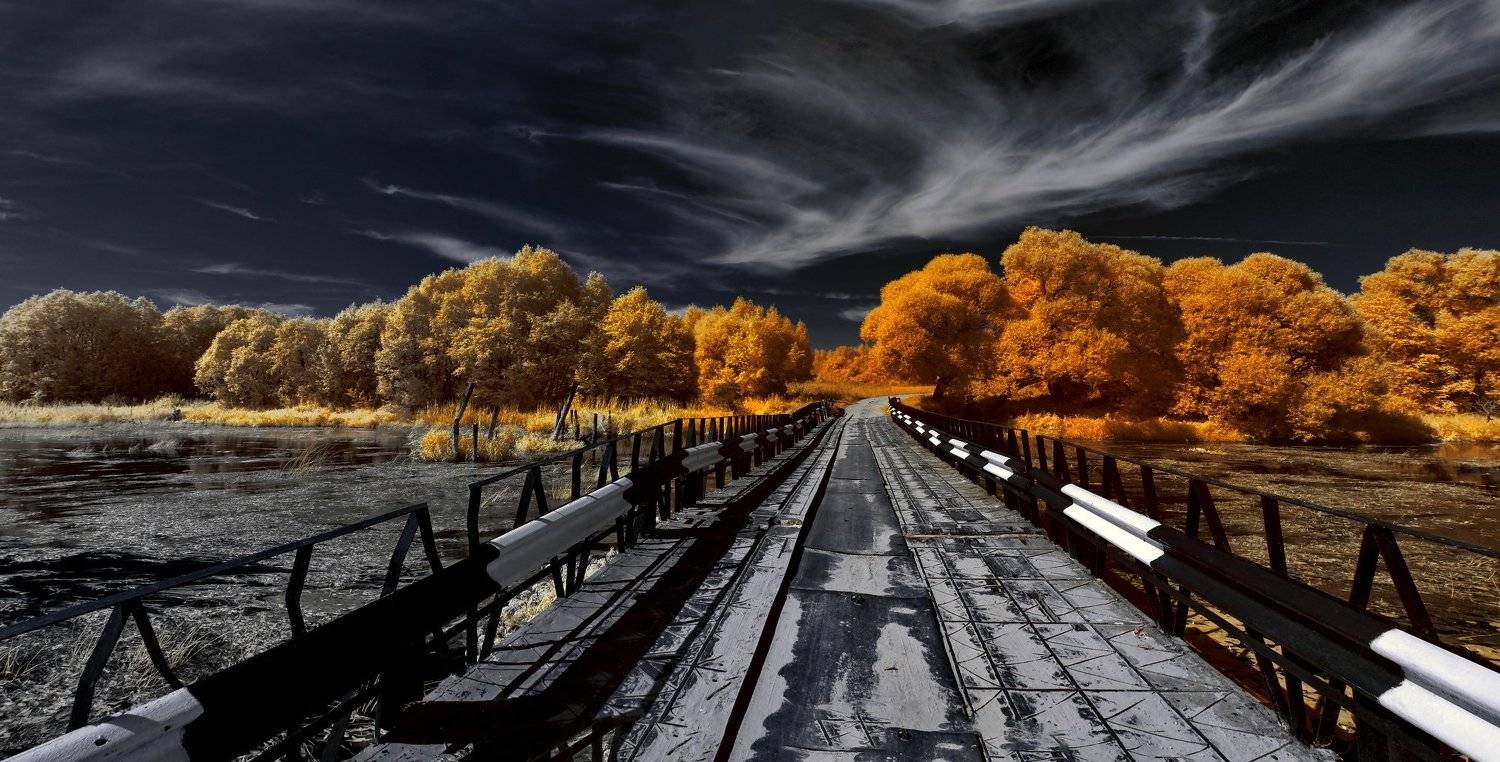infrared,ик-фото,инфракрасное фото,инфракрасная фотография,пейзаж,природа,беларусь,лето, Sixten ( Сергей )