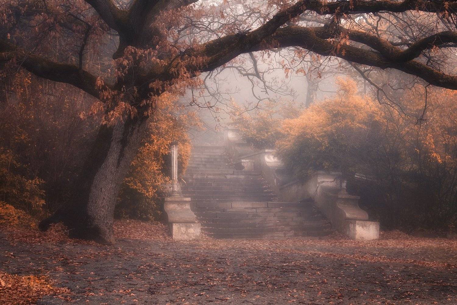 алупка. крым. туман, город, старый санаторий, Вьюшкин Игорь