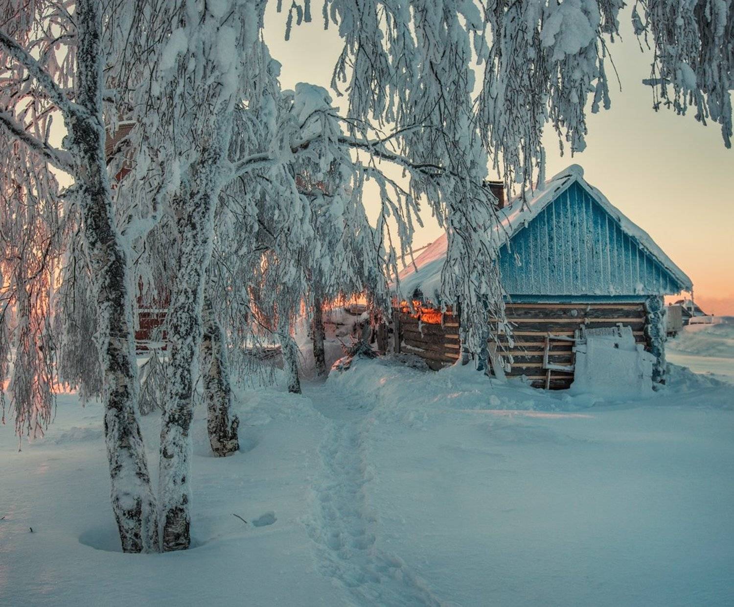 белогорье, Владимир Липецких