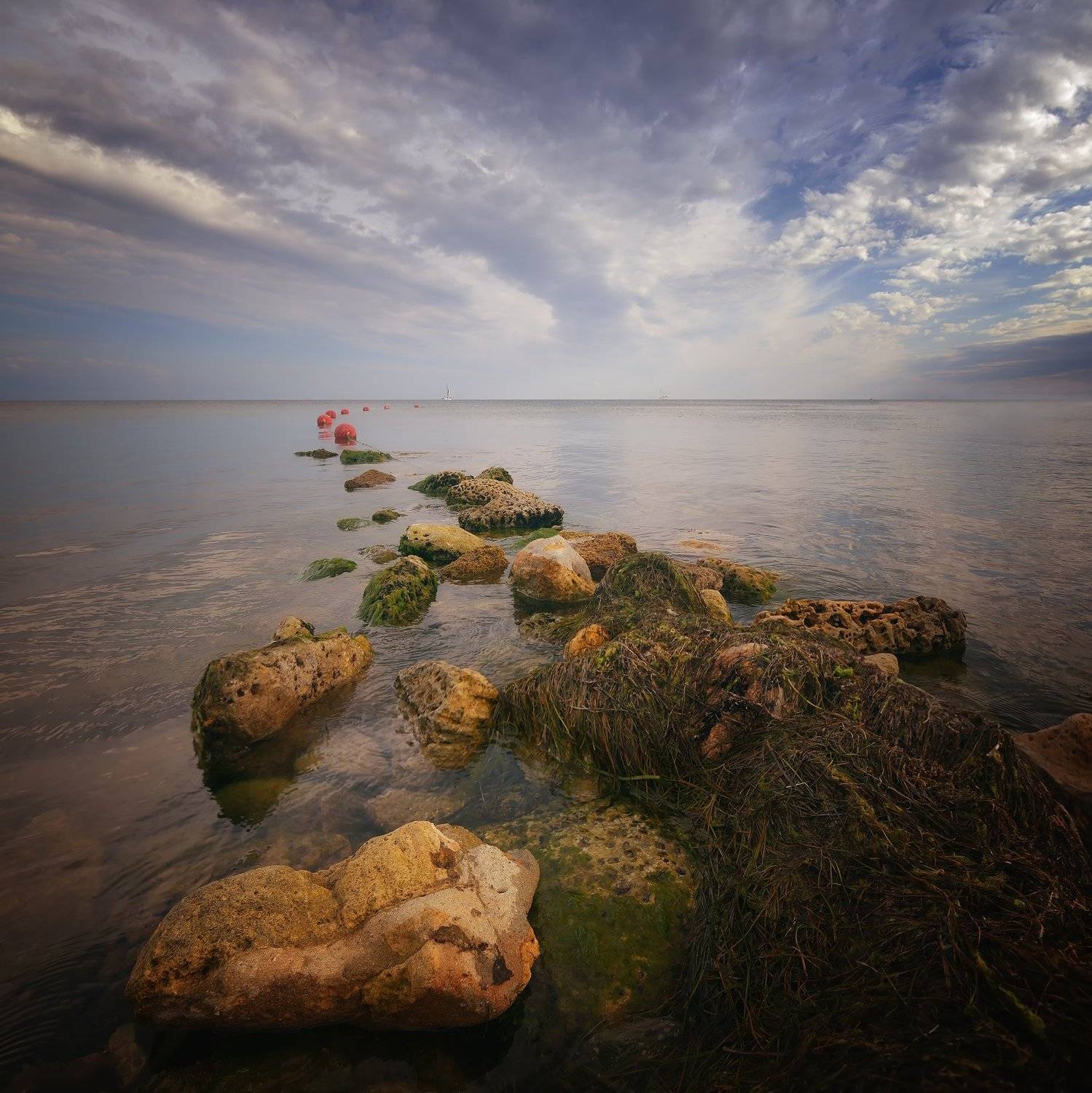 , Алексей Никонов