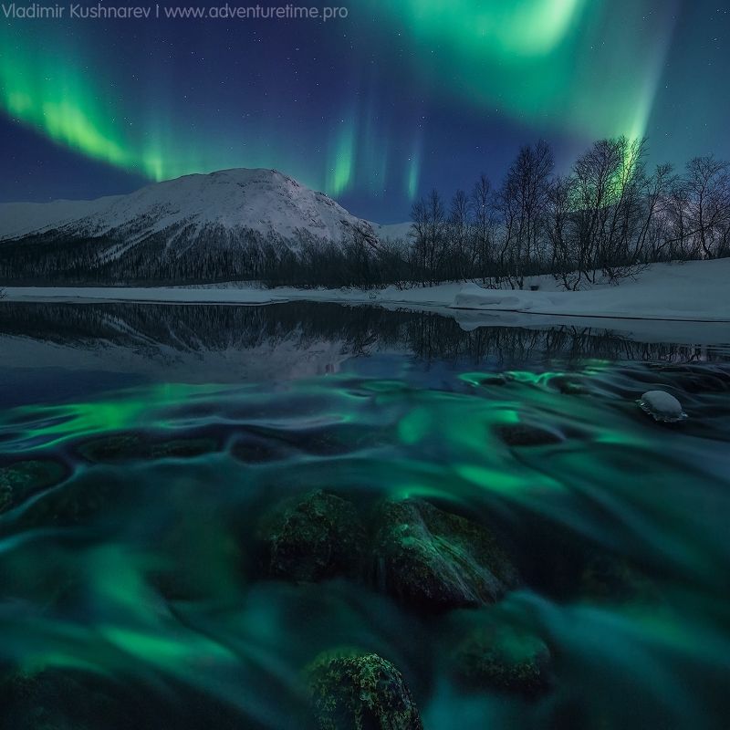 REFLECTIONS фото превью