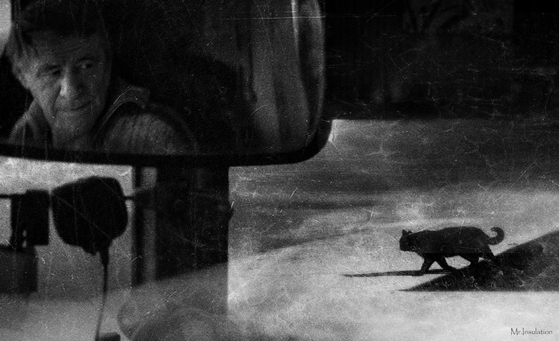 Run Over фото превью