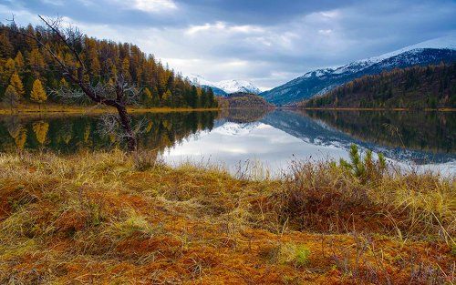 Утро на озере Кок-Кёль