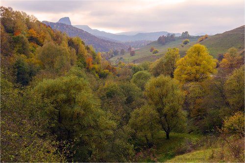 Одухотворенная пасмурность