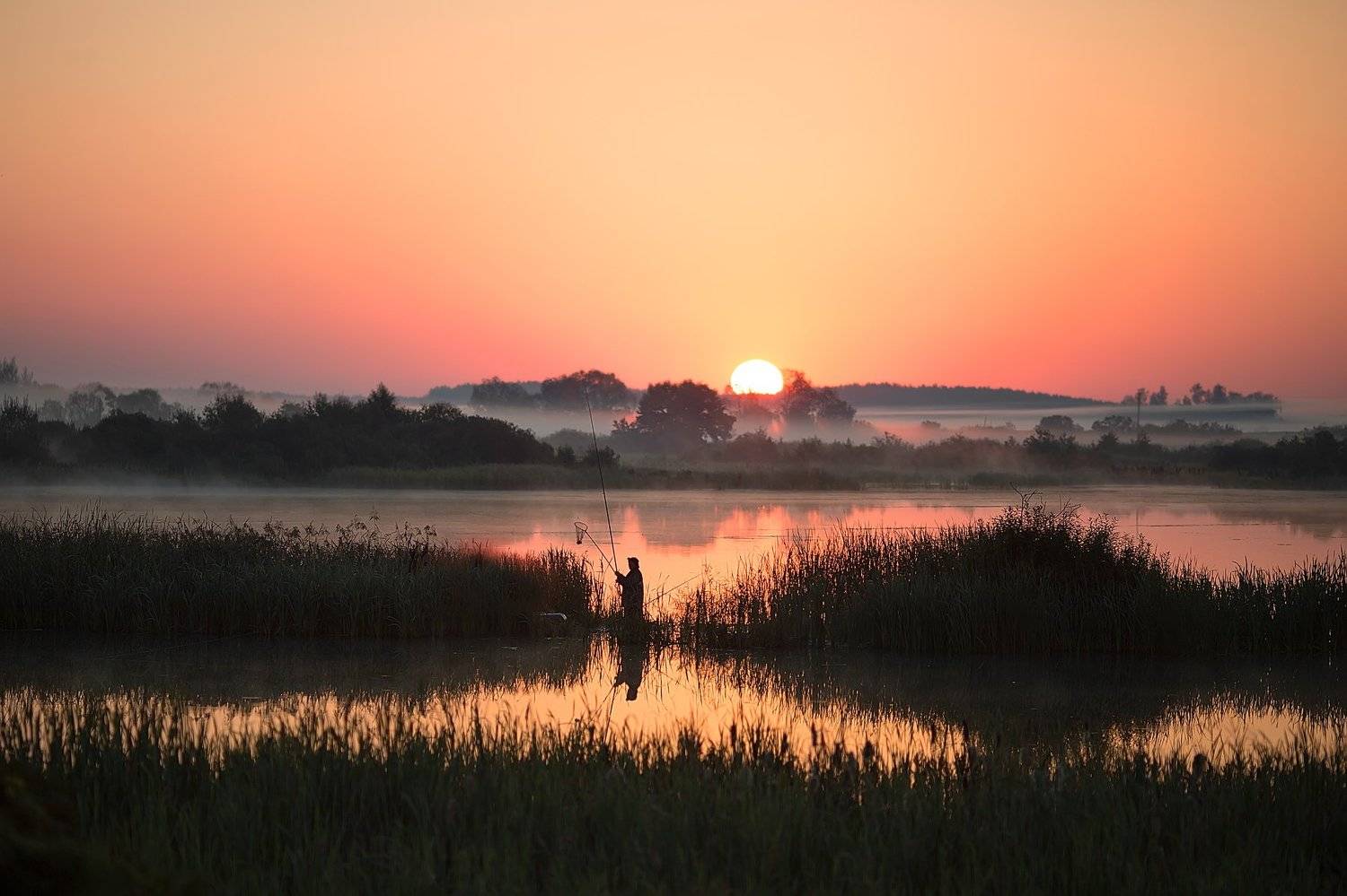 , Юлия Войнич