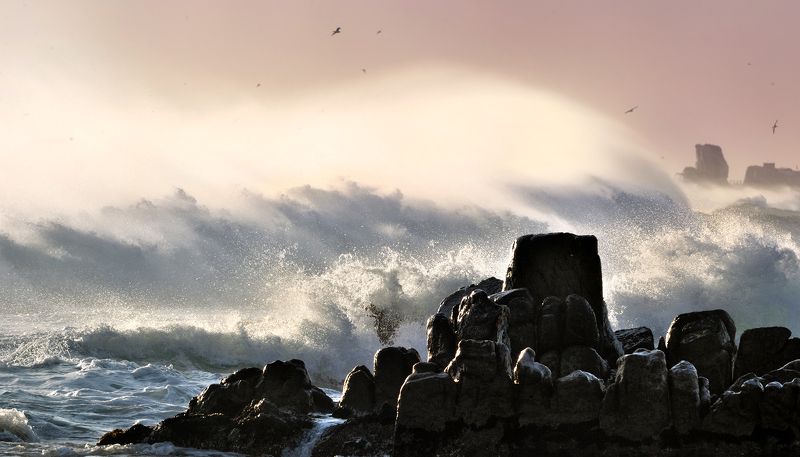 Frozen waves фото превью