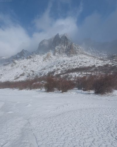 Winter Mood